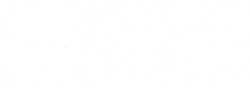 P.I. International